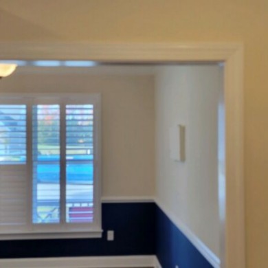 Our Gallery