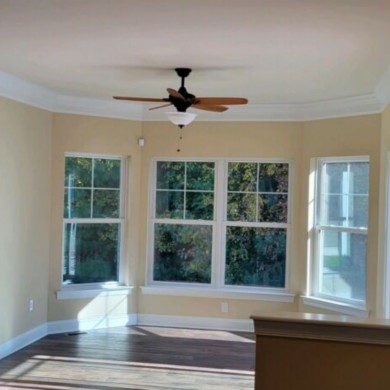 Our Gallery